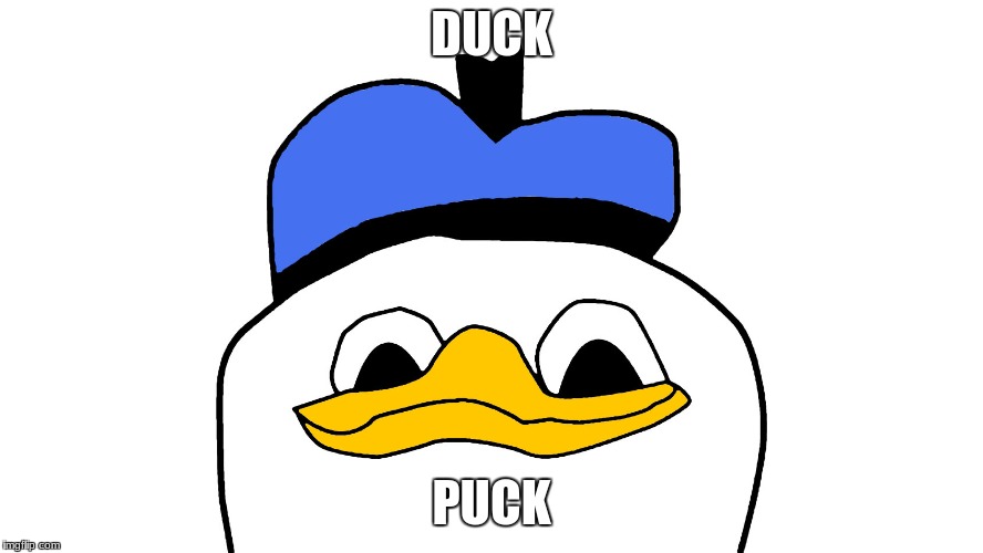DUCK; PUCK | image tagged in donald pucks | made w/ Imgflip meme maker