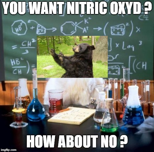 Want some oxyd ? | YOU WANT NITRIC OXYD ? HOW ABOUT NO ? | image tagged in memes,chemistry cat,how about no bear | made w/ Imgflip meme maker