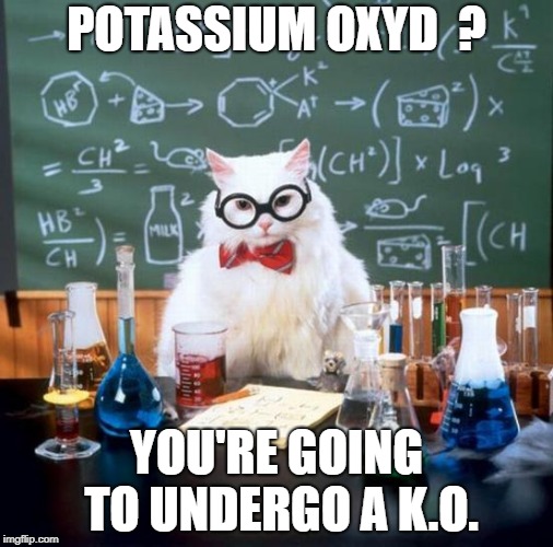 Tough chemistry | POTASSIUM OXYD  ? YOU'RE GOING TO UNDERGO A K.O. | image tagged in memes,chemistry cat | made w/ Imgflip meme maker