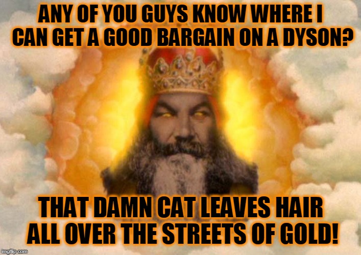 ANY OF YOU GUYS KNOW WHERE I CAN GET A GOOD BARGAIN ON A DYSON? THAT DAMN CAT LEAVES HAIR ALL OVER THE STREETS OF GOLD! | made w/ Imgflip meme maker