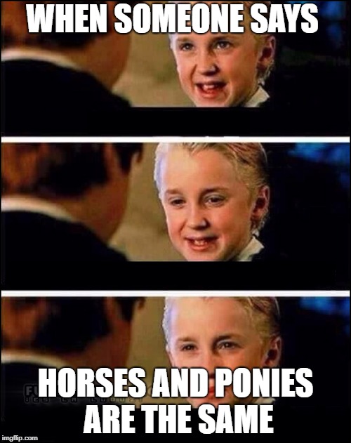 Draco Malfoy | WHEN SOMEONE SAYS; HORSES AND PONIES ARE THE SAME | image tagged in draco malfoy | made w/ Imgflip meme maker