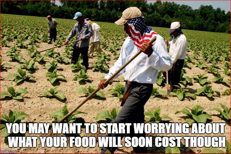 YOU MAY WANT TO START WORRYING ABOUT WHAT YOUR FOOD WILL SOON COST THOUGH | made w/ Imgflip meme maker