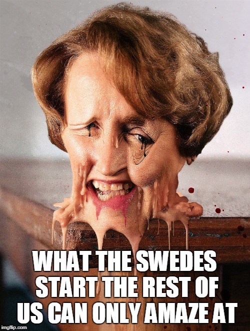 WHAT THE SWEDES START THE REST OF US CAN ONLY AMAZE AT | made w/ Imgflip meme maker