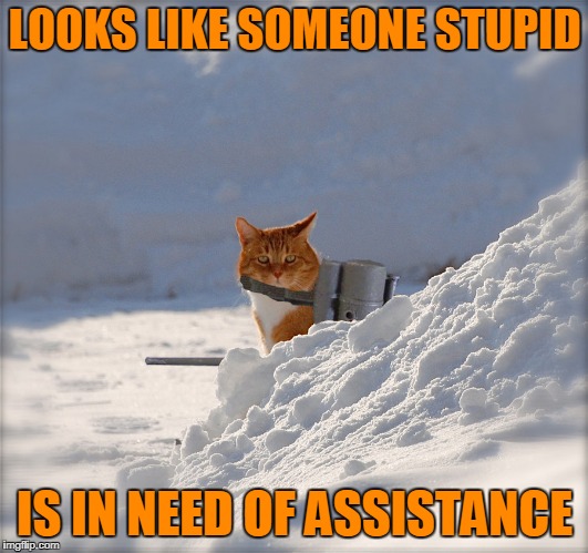 LOOKS LIKE SOMEONE STUPID IS IN NEED OF ASSISTANCE | made w/ Imgflip meme maker