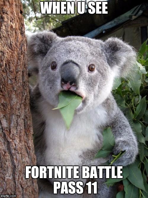 Surprised Koala Meme | WHEN U SEE; FORTNITE BATTLE PASS 11 | image tagged in memes,surprised koala | made w/ Imgflip meme maker