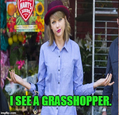 I SEE A GRASSHOPPER. | made w/ Imgflip meme maker