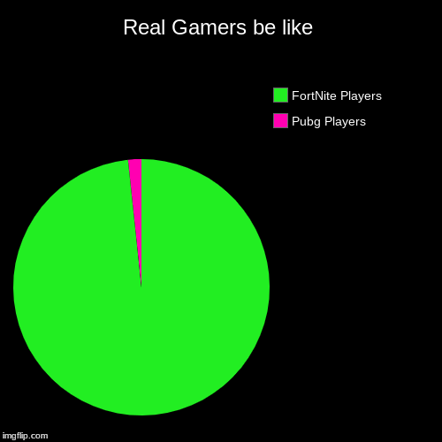 Real Gamers be like | Pubg Players, FortNite Players | image tagged in funny,pie charts | made w/ Imgflip chart maker