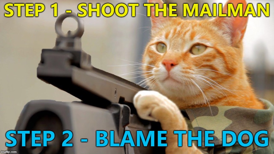 After wiping the gun clean for prints...  | STEP 1 - SHOOT THE MAILMAN; STEP 2 - BLAME THE DOG | image tagged in put the food down,memes,animals,cats,dogs | made w/ Imgflip meme maker