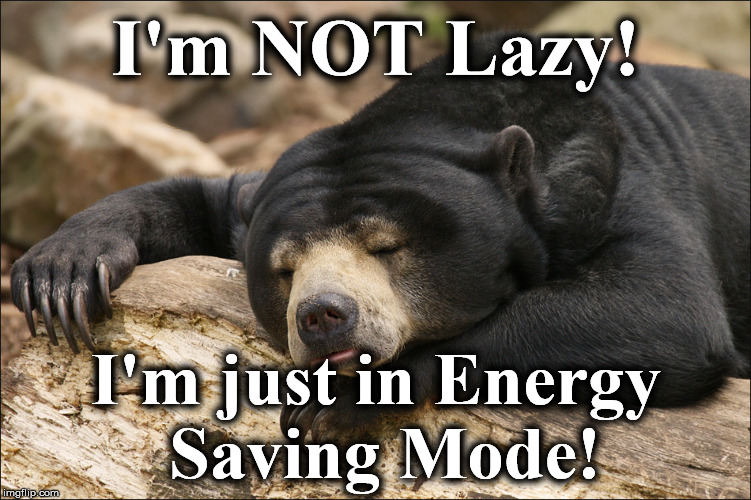 I'm NOT Lazy! I'm just in Energy Saving Mode! | image tagged in bearr | made w/ Imgflip meme maker