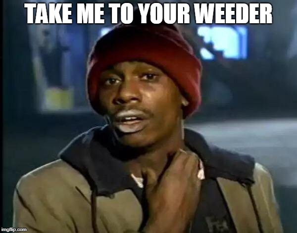 Y'all Got Any More Of That Meme | TAKE ME TO YOUR WEEDER | image tagged in memes,y'all got any more of that | made w/ Imgflip meme maker