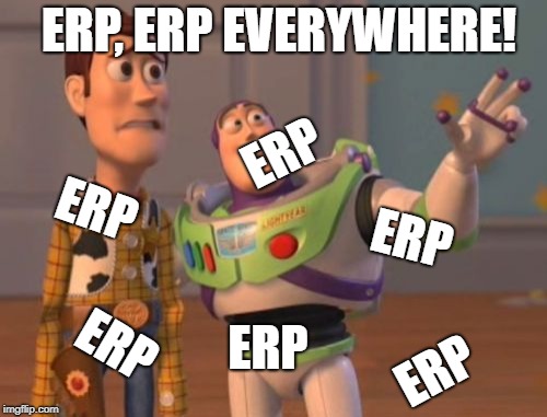 X, X Everywhere Meme | ERP, ERP EVERYWHERE! ERP; ERP; ERP; ERP; ERP; ERP | image tagged in memes,x x everywhere | made w/ Imgflip meme maker