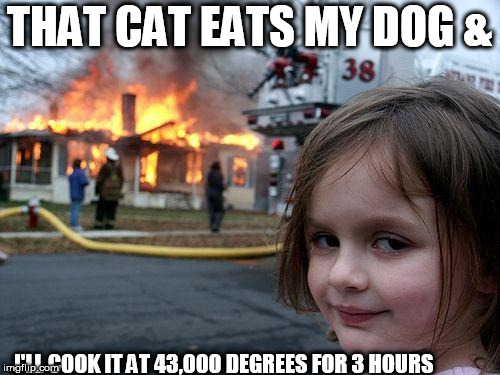 Disaster Girl Meme | THAT CAT EATS MY DOG & I'LL COOK IT AT 43,000 DEGREES FOR 3 HOURS | image tagged in memes,disaster girl | made w/ Imgflip meme maker