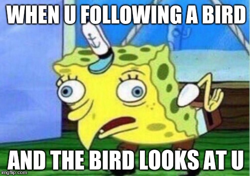 When u Follow a Bird
 | WHEN U FOLLOWING A BIRD; AND THE BIRD LOOKS AT U | image tagged in memes,mocking spongebob,birds,spongebob | made w/ Imgflip meme maker