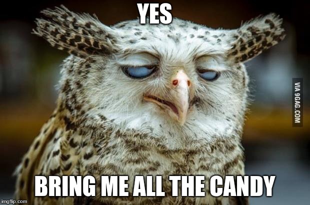 Pleased owl | YES; BRING ME ALL THE CANDY | image tagged in pleased owl | made w/ Imgflip meme maker