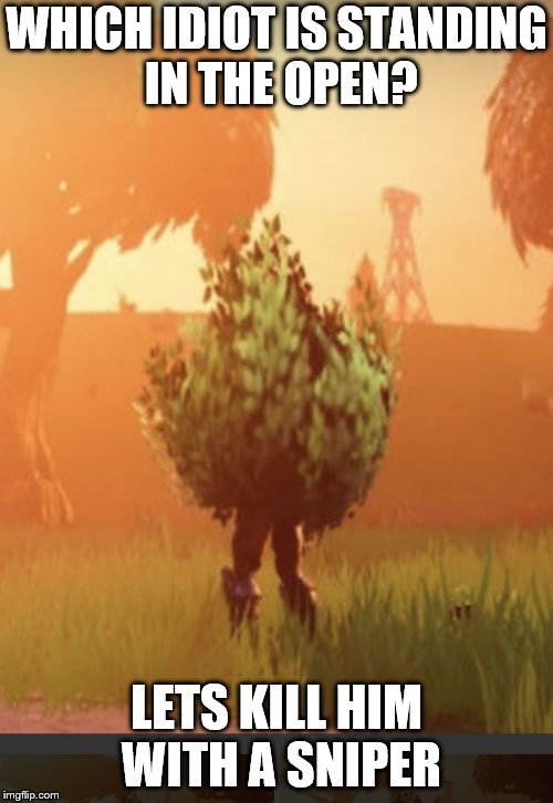 Fortnite bush | WHICH IDIOT IS STANDING IN THE OPEN? LETS KILL HIM WITH A SNIPER | image tagged in fortnite bush | made w/ Imgflip meme maker