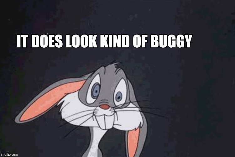 IT DOES LOOK KIND OF BUGGY | made w/ Imgflip meme maker