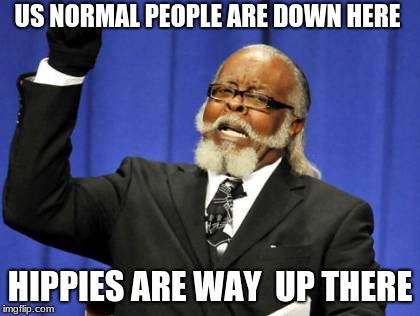 Too Damn High Meme | US NORMAL PEOPLE ARE DOWN HERE; HIPPIES ARE WAY 
UP THERE | image tagged in memes,too damn high | made w/ Imgflip meme maker
