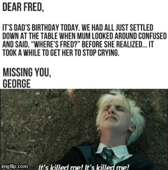 harry potter memes fred and george