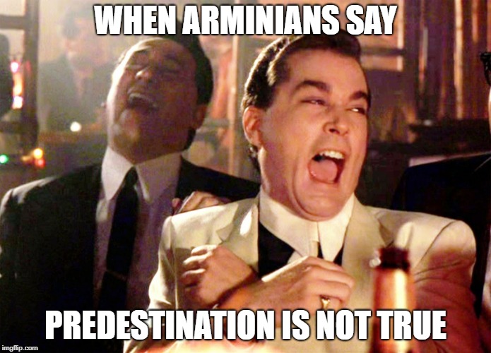 Good Fellas Hilarious Meme | WHEN ARMINIANS SAY; PREDESTINATION IS NOT TRUE | image tagged in memes,good fellas hilarious | made w/ Imgflip meme maker