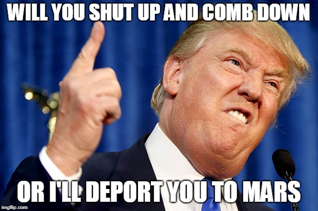Donald Trump | WILL YOU SHUT UP AND COMB DOWN; OR I'LL DEPORT YOU TO MARS | image tagged in donald trump | made w/ Imgflip meme maker