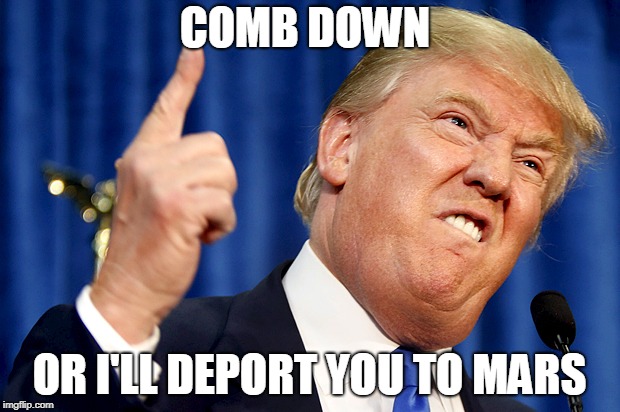 Donald Trump | COMB DOWN; OR I'LL DEPORT YOU TO MARS | image tagged in donald trump | made w/ Imgflip meme maker