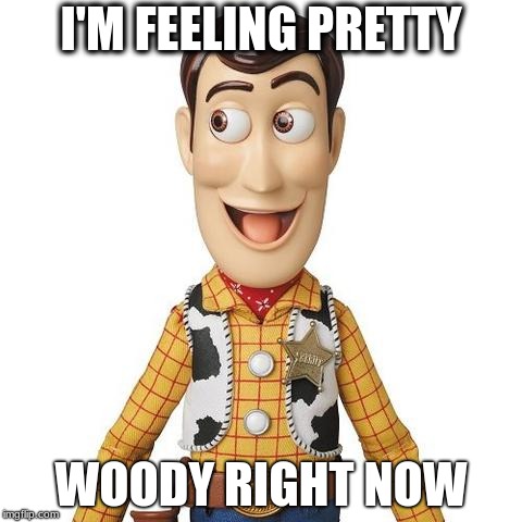Its a good thing Andy gave woody away | I'M FEELING PRETTY; WOODY RIGHT NOW | image tagged in derp woody | made w/ Imgflip meme maker