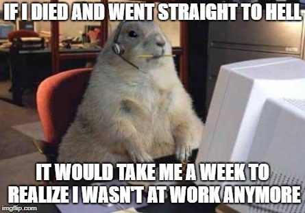 Call Center Animal | IF I DIED AND WENT STRAIGHT TO HELL; IT WOULD TAKE ME A WEEK TO REALIZE I WASN'T AT WORK ANYMORE | image tagged in call center animal | made w/ Imgflip meme maker