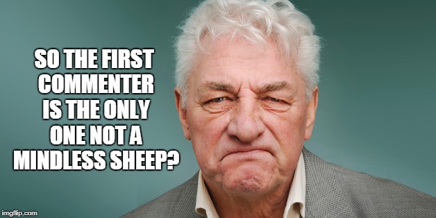 SO THE FIRST COMMENTER IS THE ONLY ONE NOT A MINDLESS SHEEP? | made w/ Imgflip meme maker