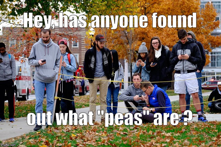 OSU students 28NOV16 | Hey, has anyone found out what "peas" are ? | image tagged in osu students 28nov16 | made w/ Imgflip meme maker