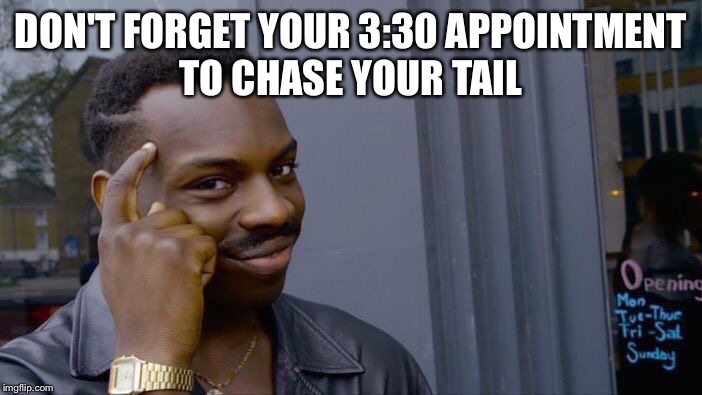 Roll Safe Think About It Meme | DON'T FORGET YOUR 3:30 APPOINTMENT TO CHASE YOUR TAIL | image tagged in memes,roll safe think about it | made w/ Imgflip meme maker