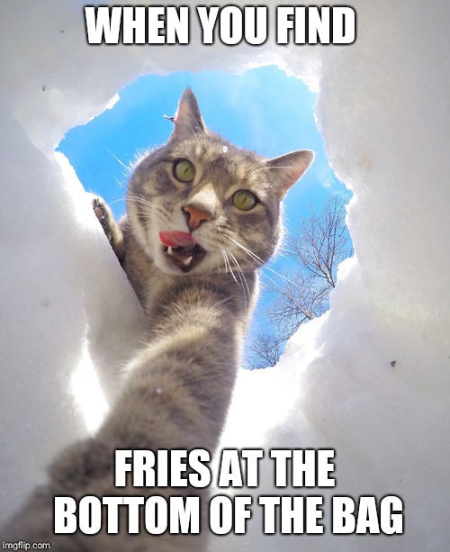 Finding fries at the Bottom of the bag | WHEN YOU FIND; FRIES AT THE BOTTOM OF THE BAG | image tagged in funny memes | made w/ Imgflip meme maker