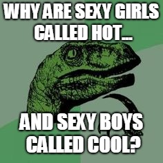 Time raptor  | WHY ARE SEXY GIRLS CALLED HOT... AND SEXY BOYS CALLED COOL? | image tagged in time raptor | made w/ Imgflip meme maker