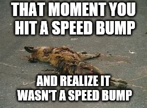 I cri every time. | THAT MOMENT YOU HIT A SPEED BUMP; AND REALIZE IT WASN'T A SPEED BUMP | image tagged in roadkill,speedbump | made w/ Imgflip meme maker