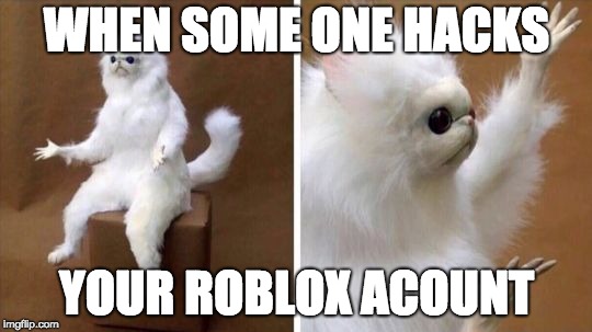 Wtf Cat | WHEN SOME ONE HACKS; YOUR ROBLOX ACOUNT | image tagged in wtf cat | made w/ Imgflip meme maker