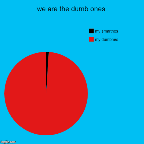 we are the dumb ones | my dumbnes, my smartnes | image tagged in funny,pie charts | made w/ Imgflip chart maker