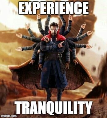 Experience Tranquility | EXPERIENCE; TRANQUILITY | image tagged in experience_tranquility,doctor_strange,docterstrange,experience_tranquility_meme,infinity_war_meme,overwatch_meme | made w/ Imgflip meme maker