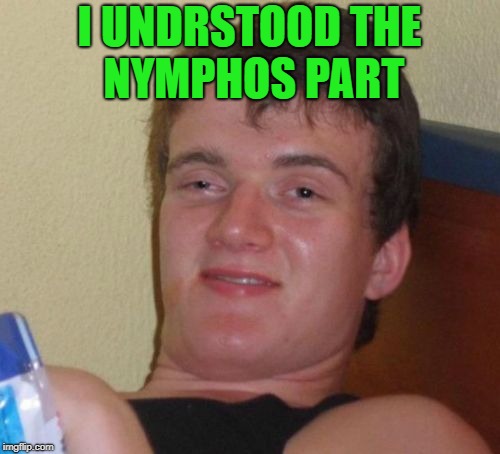 10 Guy Meme | I UNDRSTOOD THE NYMPHOS PART | image tagged in memes,10 guy | made w/ Imgflip meme maker