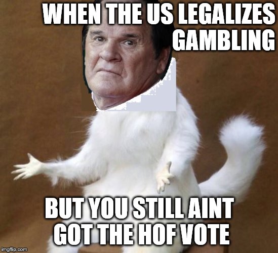 WHEN THE US LEGALIZES GAMBLING; BUT YOU STILL AINT GOT THE HOF VOTE | image tagged in pete rose,gambling | made w/ Imgflip meme maker