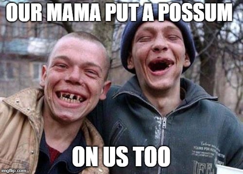 OUR MAMA PUT A POSSUM ON US TOO | made w/ Imgflip meme maker