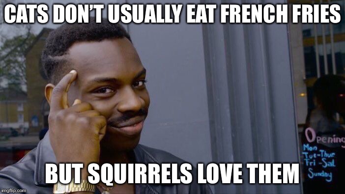 Roll Safe Think About It Meme | CATS DON’T USUALLY EAT FRENCH FRIES BUT SQUIRRELS LOVE THEM | image tagged in memes,roll safe think about it | made w/ Imgflip meme maker