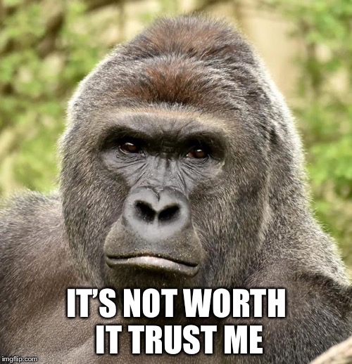 Har | IT’S NOT WORTH IT TRUST ME | image tagged in har | made w/ Imgflip meme maker