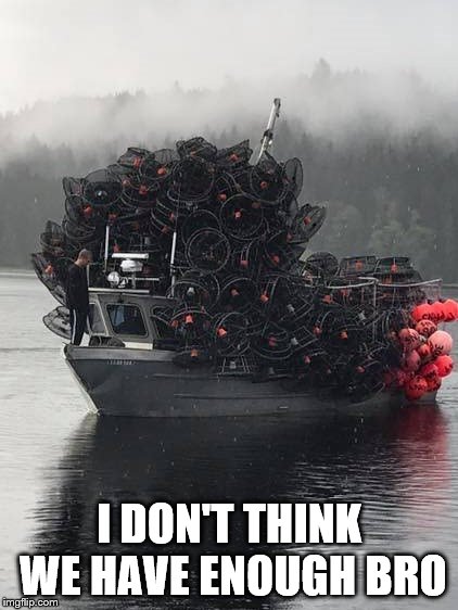 I DON'T THINK WE HAVE ENOUGH BRO | image tagged in fishing | made w/ Imgflip meme maker