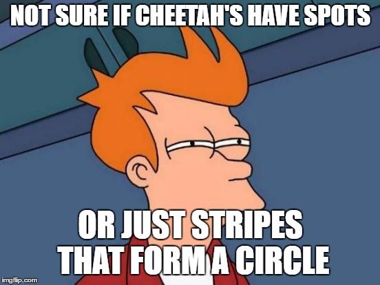 Futurama Fry Meme | NOT SURE IF CHEETAH'S HAVE SPOTS; OR JUST STRIPES THAT FORM A CIRCLE | image tagged in memes,futurama fry | made w/ Imgflip meme maker