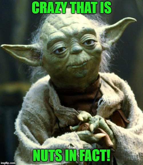 Star Wars Yoda Meme | CRAZY THAT IS NUTS IN FACT! | image tagged in memes,star wars yoda | made w/ Imgflip meme maker
