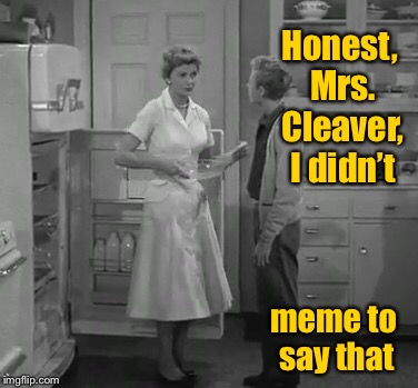 By the way, Mrs. Cleaver, that’s a lovely dress you’re wearing | Honest, Mrs. Cleaver, I didn’t; meme to say that | image tagged in memes,eddie haskell,mrs cleaver,leave it to beaver,communication error | made w/ Imgflip meme maker