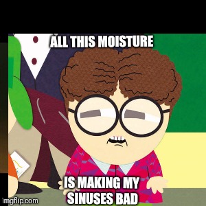 ALL THIS MOISTURE; IS MAKING MY SINUSES BAD | made w/ Imgflip meme maker