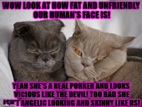 WOW LOOK AT HOW FAT AND UNFRIENDLY OUR HUMAN'S FACE IS! YEAH SHE'S A REAL PORKER AND LOOKS VICIOUS LIKE THE DEVIL! TOO BAD SHE ISN'T ANGELIC LOOKING AND SKINNY LIKE US! | image tagged in fat hypocrites | made w/ Imgflip meme maker