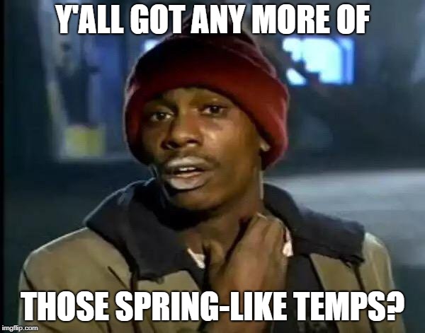 Y'all Got Any More Of That Meme | Y'ALL GOT ANY MORE OF; THOSE SPRING-LIKE TEMPS? | image tagged in memes,y'all got any more of that | made w/ Imgflip meme maker