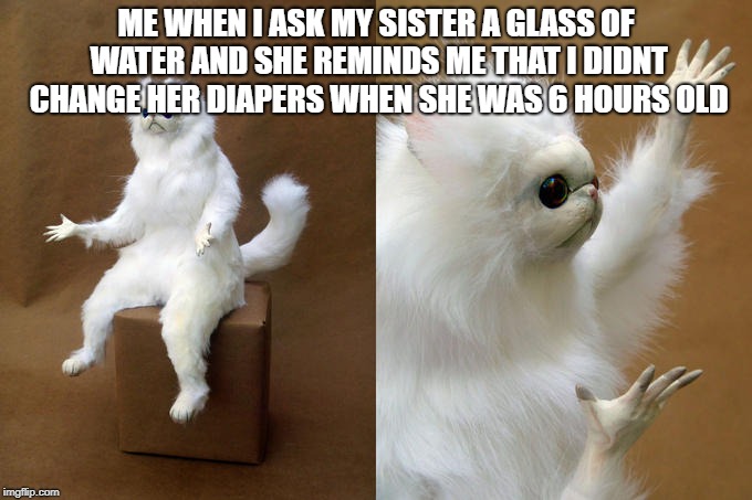 Persian Cat Room Guardian Meme | ME WHEN I ASK MY SISTER A GLASS OF WATER AND SHE REMINDS ME THAT I DIDNT CHANGE HER DIAPERS WHEN SHE WAS 6 HOURS OLD | image tagged in memes,persian cat room guardian | made w/ Imgflip meme maker
