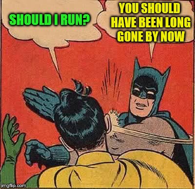 Batman Slapping Robin Meme | SHOULD I RUN? YOU SHOULD HAVE BEEN LONG GONE BY NOW | image tagged in memes,batman slapping robin | made w/ Imgflip meme maker